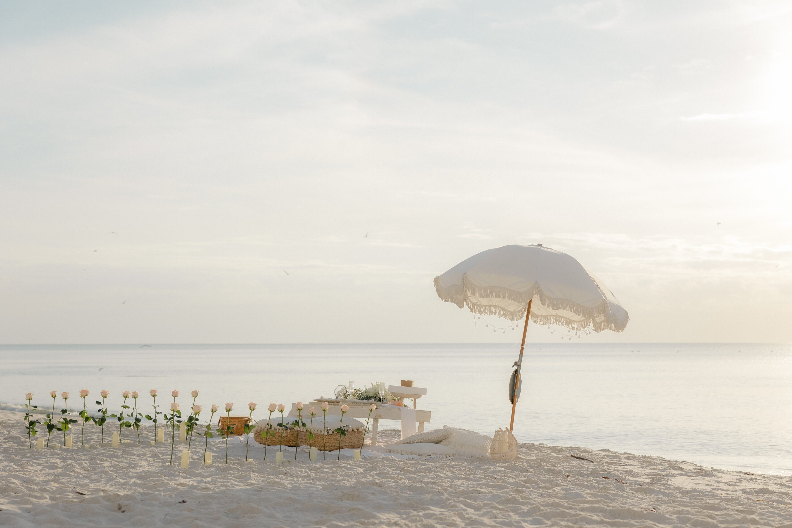 Picnic cultures set up this lovely picic porposal on naples beach florida photographed by Naples Florida photographer, Maddie Briggs.